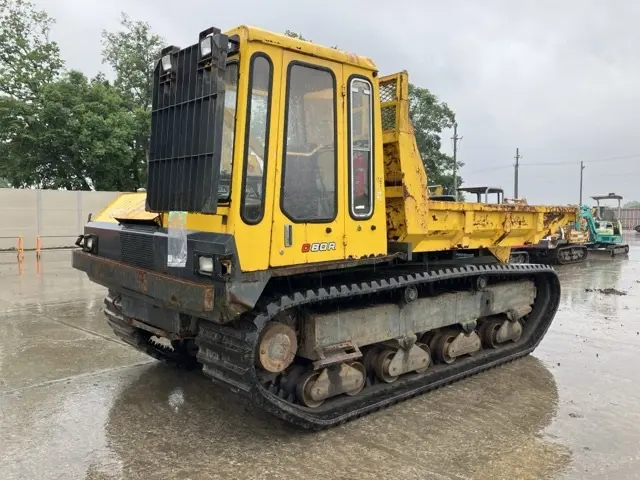 CRAWLER DUMP