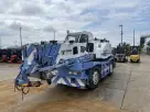 Cẩu địa hình