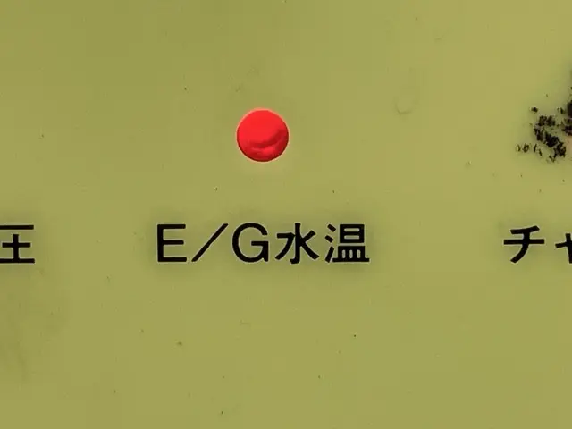 Xe nâng người No.260 - 22