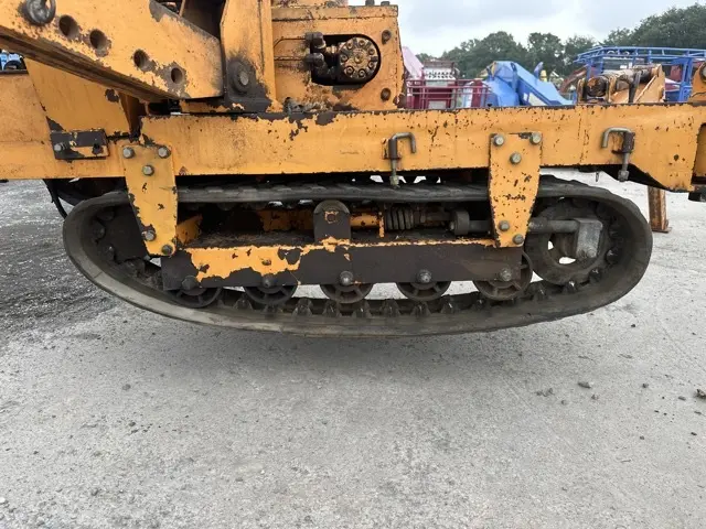 Cẩu xích mini No.438 - 9