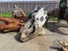 Kìm bóp